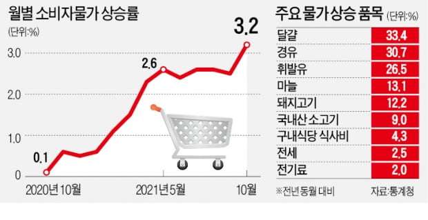 휘발유·육류 등 물가가 막 오르네…10년 만에 3%대로 상승