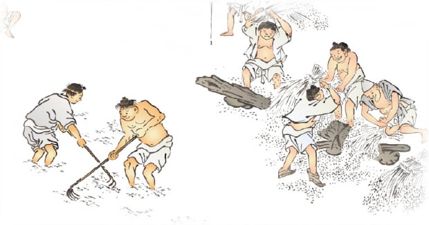 양반의 손·발이자 세습재산의 핵심 '노비'…'乙' 노비 이탈은 '甲' 양반의 경제에 타격