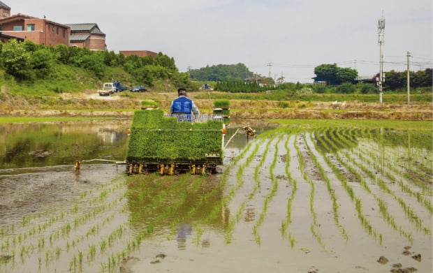'전(田)'에선 밭농사, '답(畓)'에선 논농사를 짓죠