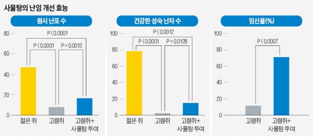 수정·착상 문제 해소 위한 연구과정서 시험관 아기 탄생, 난자 수 적어 임신 실패 증가…한방에서도 해법 연구 중