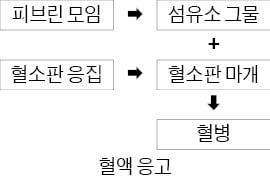 정보를 시간적 순서에 따라 파악할 때 주의할 점은?