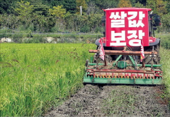 '쌀 의무매입법'으로 과잉생산량 시장격리, 兆예산 투입해야 하나