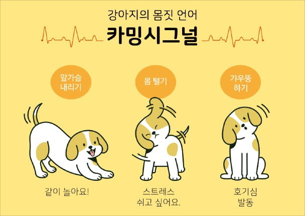 동물 행동의 의문 푸는 네 가지 관점 제시