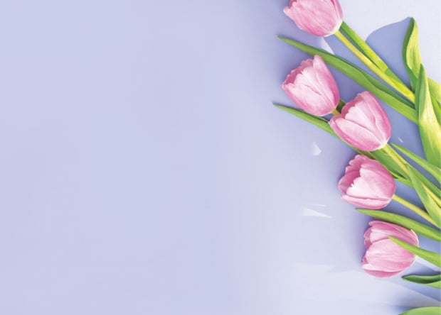 최선과 최고…모든 순간이 꽃봉오리인 것을!
