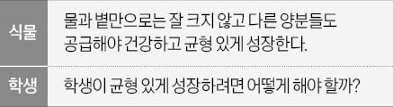 다른 영역의 문제 대입해 대상의 문제점 찾아보자