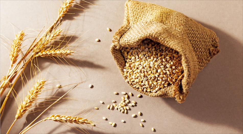 옥석을 가리다 'separate the wheat from the chaff'