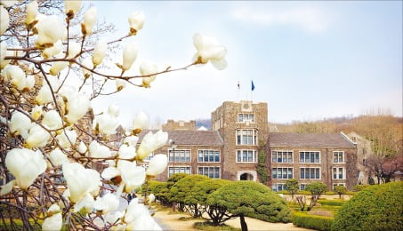 수리문제, 논술 평가의 결정적 요소 아니다