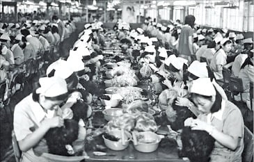 1960년대 수출 효자였던 가발을 만들던 공장 모습. /국가기록원 제공