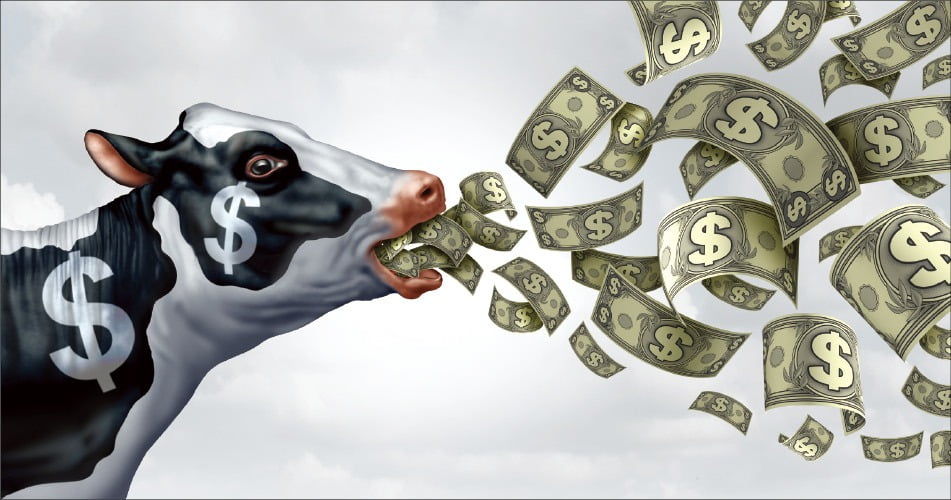 꾸준히 돈을 벌어주는 사업 'cash cow'