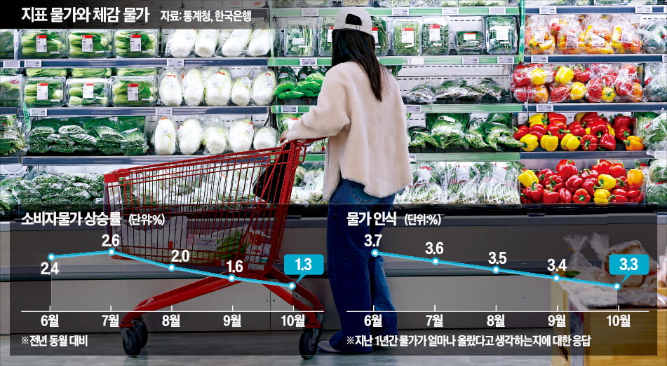 채솟값·외식비 다 올랐는데…물가상승률은 1%대?