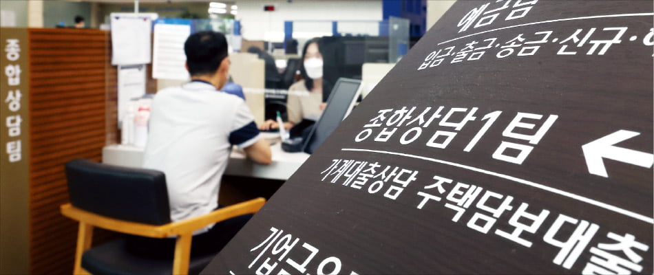 은행 건전성 관리, 대출 규제가 중요 수단