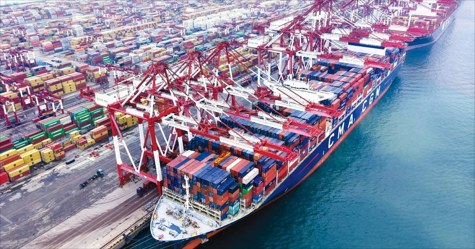 WTO 체제 이후 실질적 보호무역 수단 됐죠