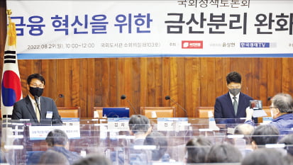 금융·산업자본 분리 규제, 이제 풀어야 하나