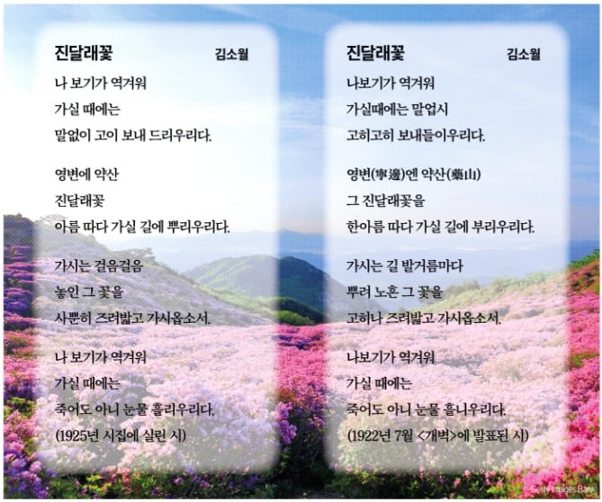 소월도 '진달래꽃' 3년 고쳤는데…