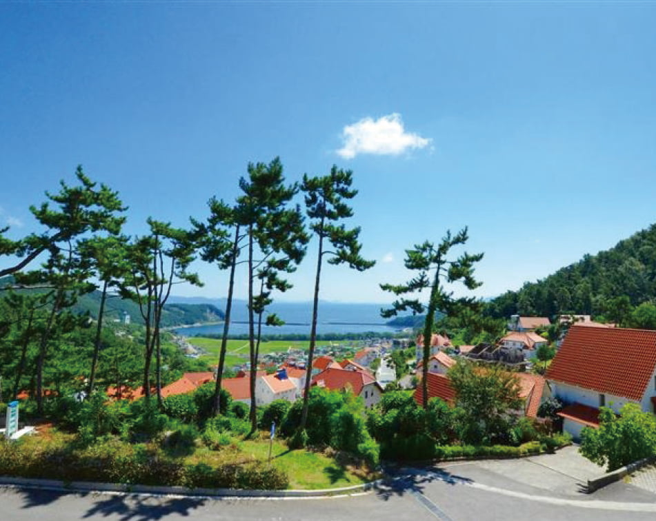 천년을 하루같이