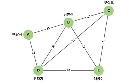 수학동산 가중치 그래프