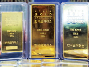 '파죽지세' 금값…5000달러 찍고 6000달러로?